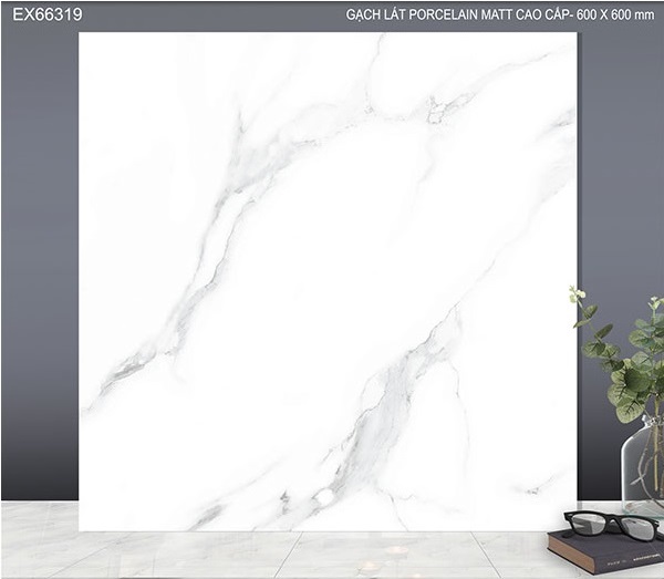 Gạch lát TTC Ceramic MT-EX66319